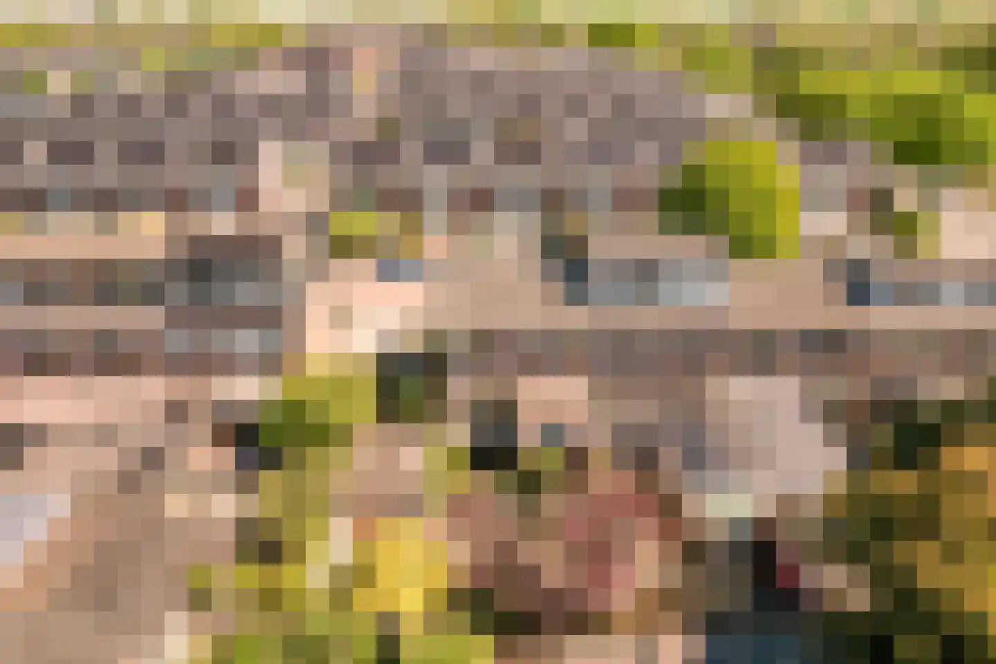 Rederijkersstraat 36 Harderwijk thumbnail 35