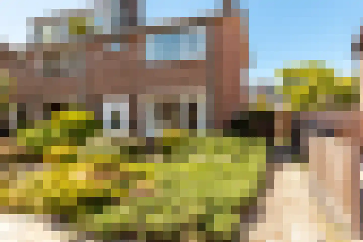 Rederijkersstraat 36 Harderwijk thumbnail 7