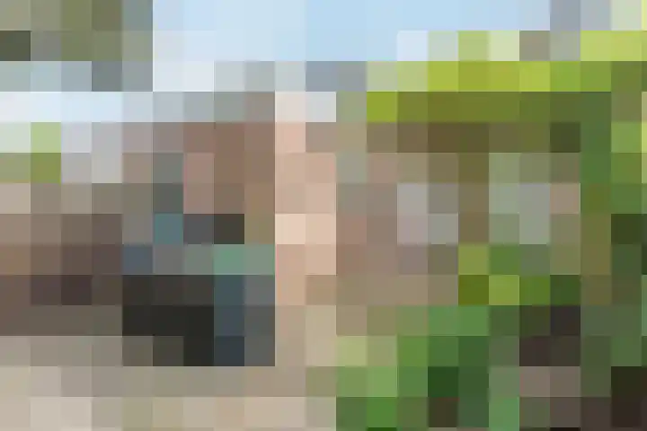 Rederijkersstraat 40 Harderwijk thumbnail 37