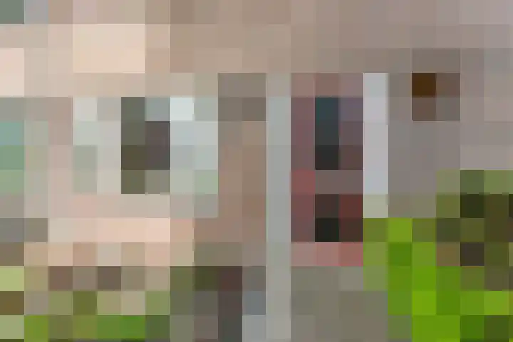 Rederijkersstraat 40 Harderwijk thumbnail 40