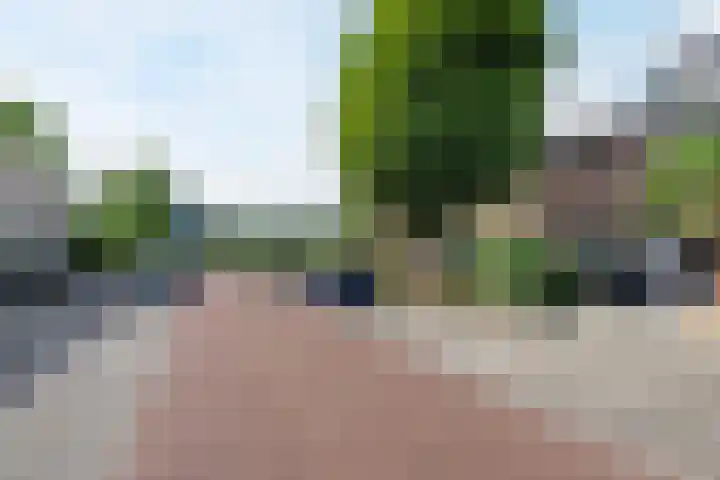 Rederijkersstraat 40 Harderwijk thumbnail 42
