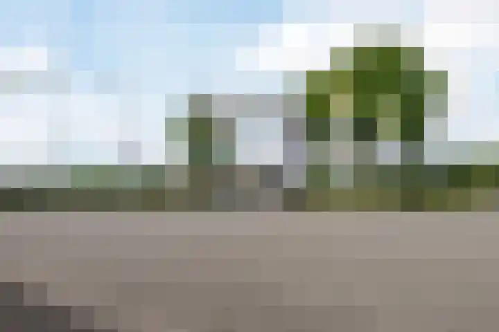 Rederijkersstraat 40 Harderwijk thumbnail 46