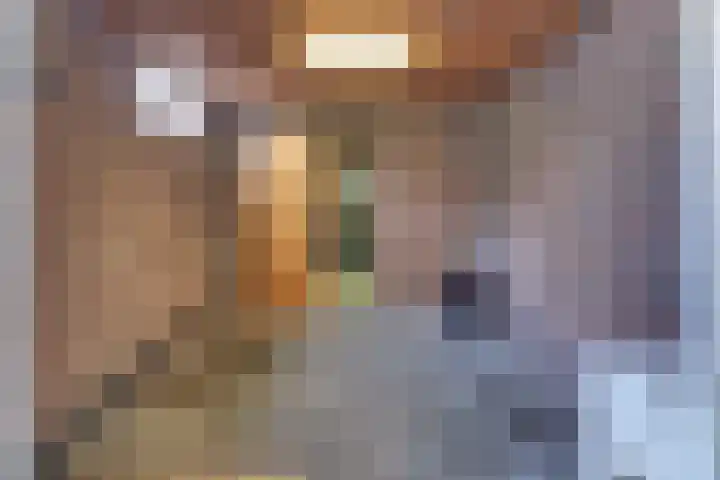 Rederijkersstraat 44 Harderwijk thumbnail 44