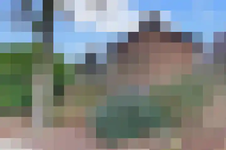 Rederijkersstraat 44 Harderwijk thumbnail 47