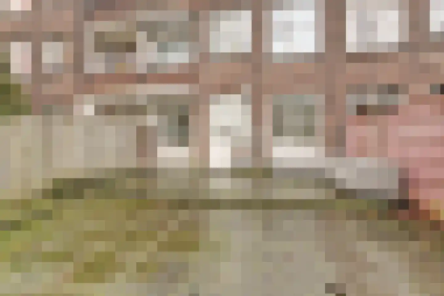Rederijkerstraat 157 Den Haag thumbnail 21