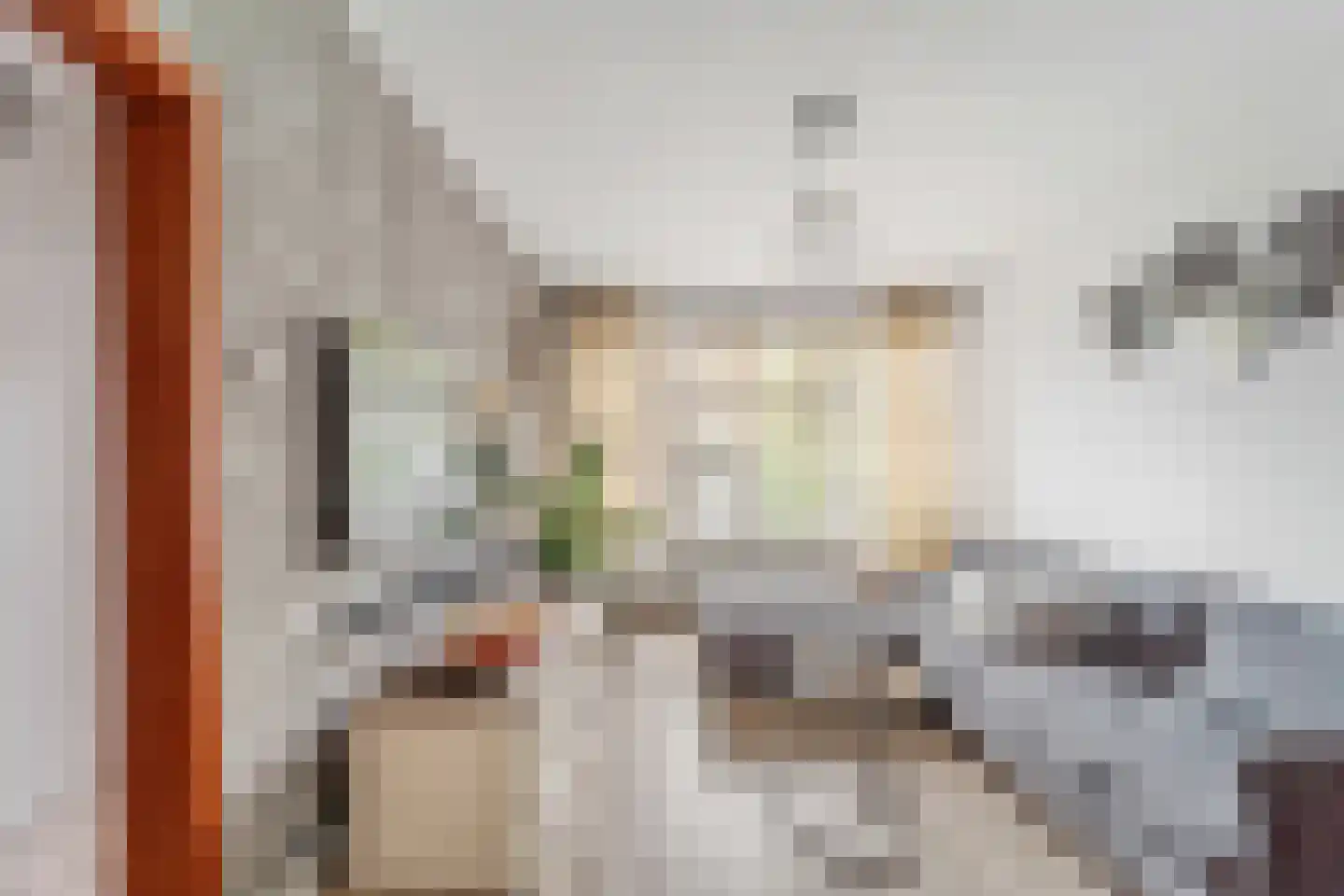 Rederijkerstraat 23 Den Haag thumbnail 8