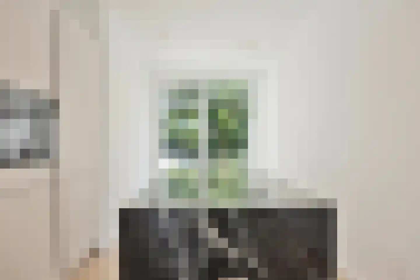 Rederijkerstraat 77 Den Haag thumbnail 9