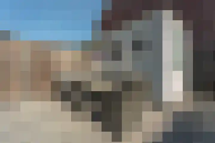 Rederijstraat 29 Katwijk thumbnail 28