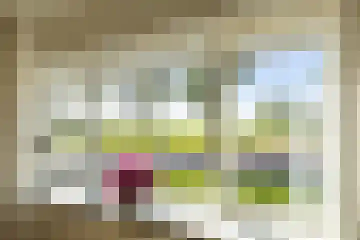 Rederijwei 5 Eanjum thumbnail 10