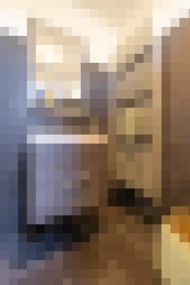 Rederijwei 5 Eanjum thumbnail 37