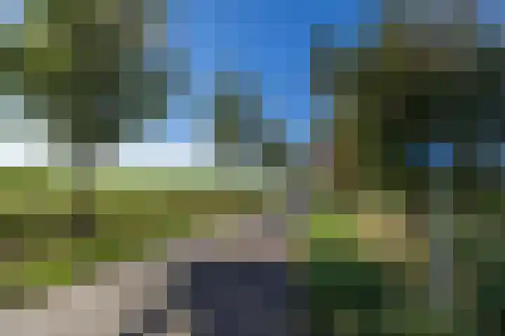 Rederijwei 5 Eanjum thumbnail 4