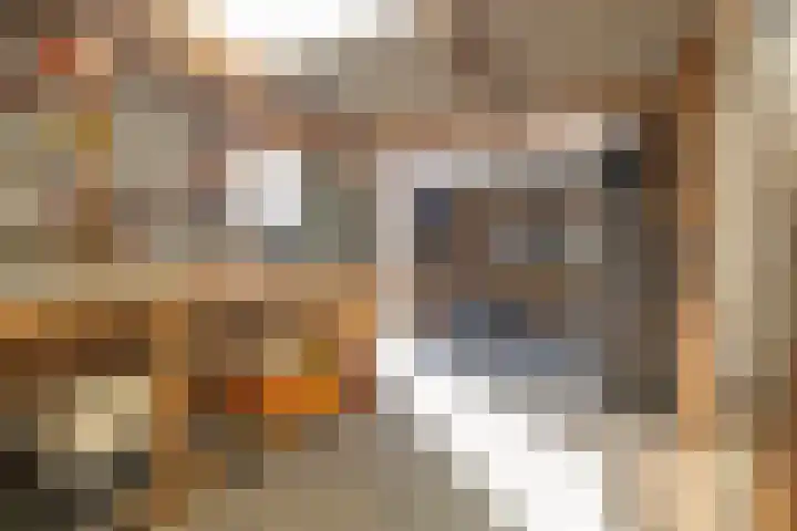 Rederijwei 5 Eanjum thumbnail 47