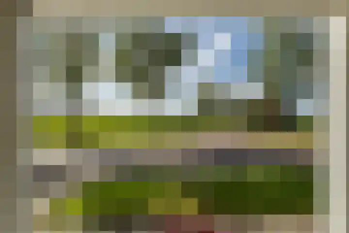Rederijwei 5 Eanjum thumbnail 51