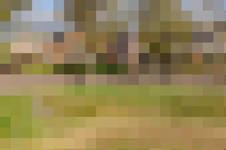 Rederijwei 5 Eanjum thumbnail 55