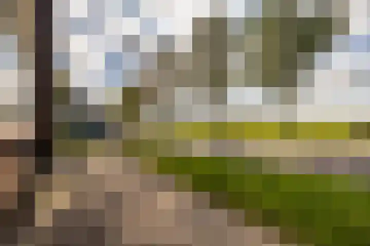 Rederijwei 5 Eanjum thumbnail 57