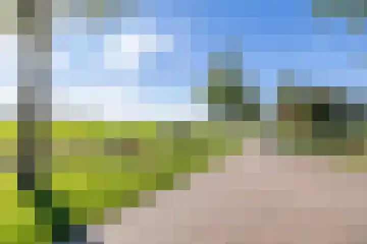 Rederijwei 5 Eanjum thumbnail 58