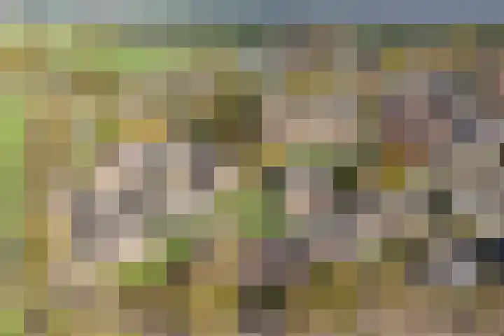 Rederijwei 5 Eanjum thumbnail 59