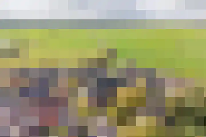 Rederijwei 5 Eanjum thumbnail 60