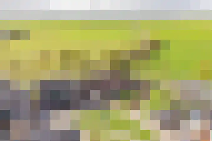 Rederijwei 5 Eanjum thumbnail 61