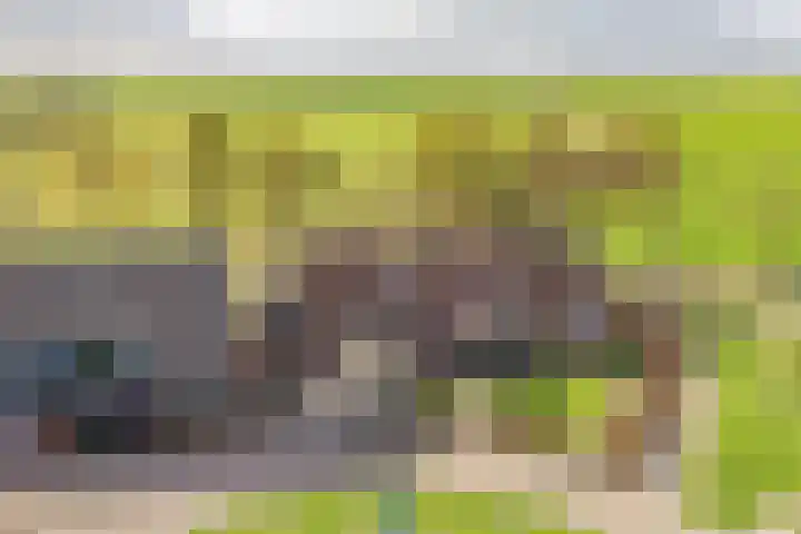 Rederijwei 5 Eanjum thumbnail 62