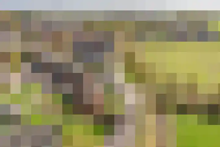 Rederijwei 5 Eanjum thumbnail 63