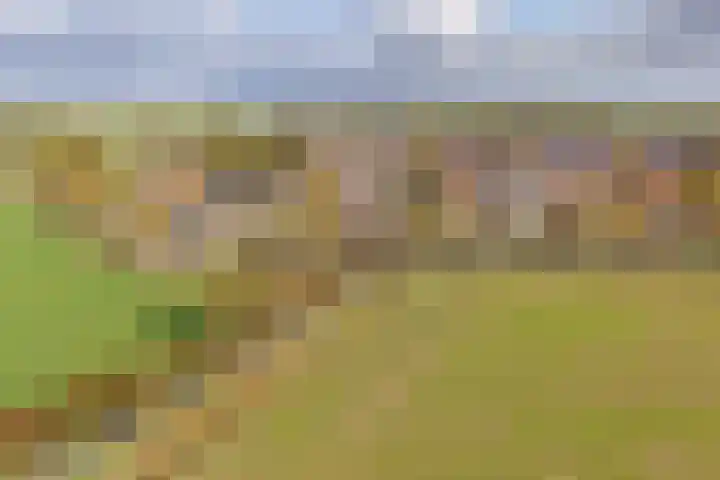 Rederijwei 5 Eanjum thumbnail 64
