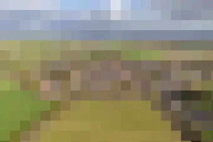Rederijwei 5 Eanjum thumbnail 65