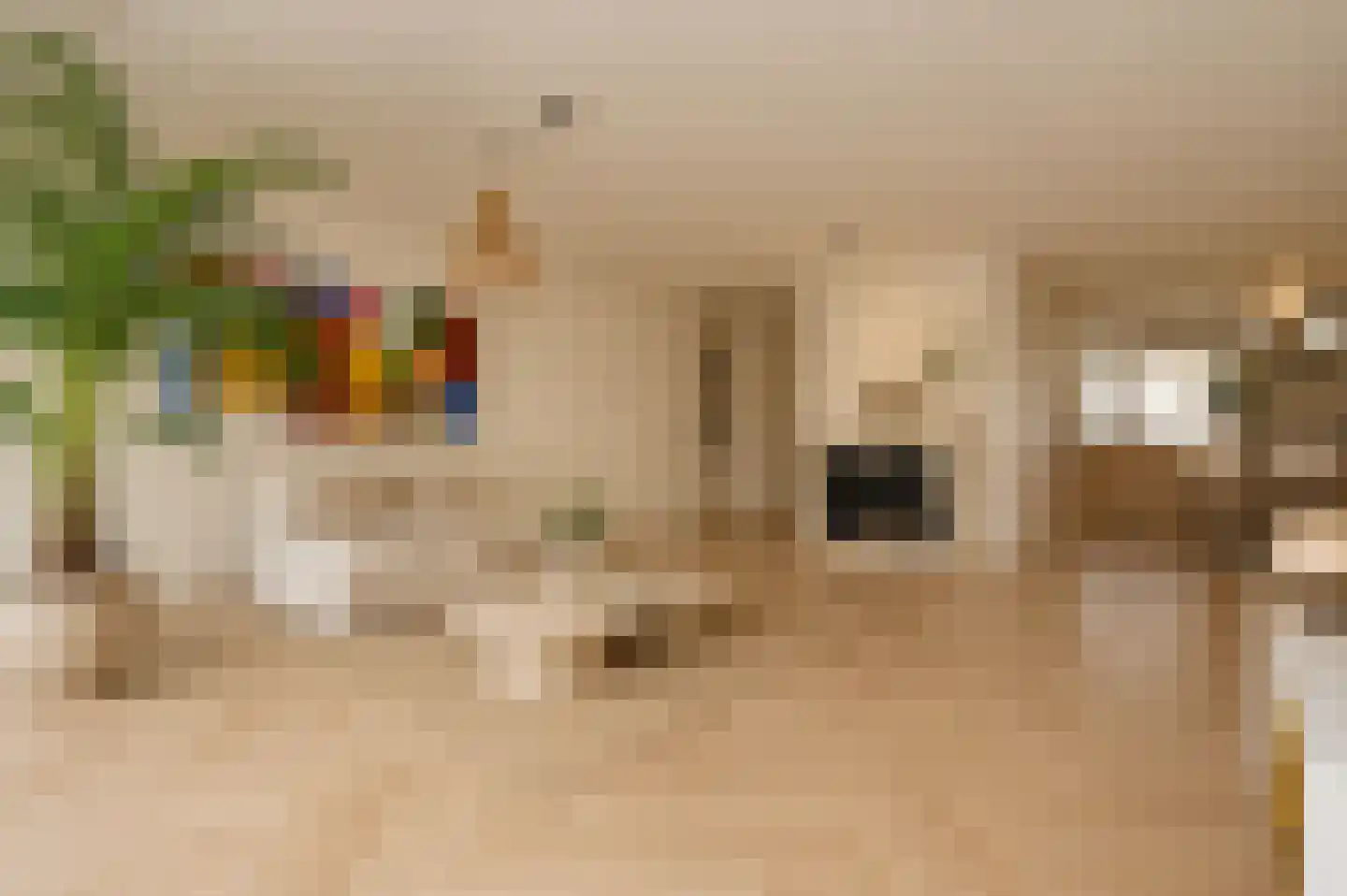 Rederserf 11 Den Haag thumbnail 14