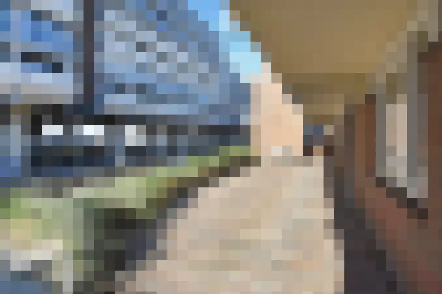 Rederserf 11 Den Haag thumbnail 39