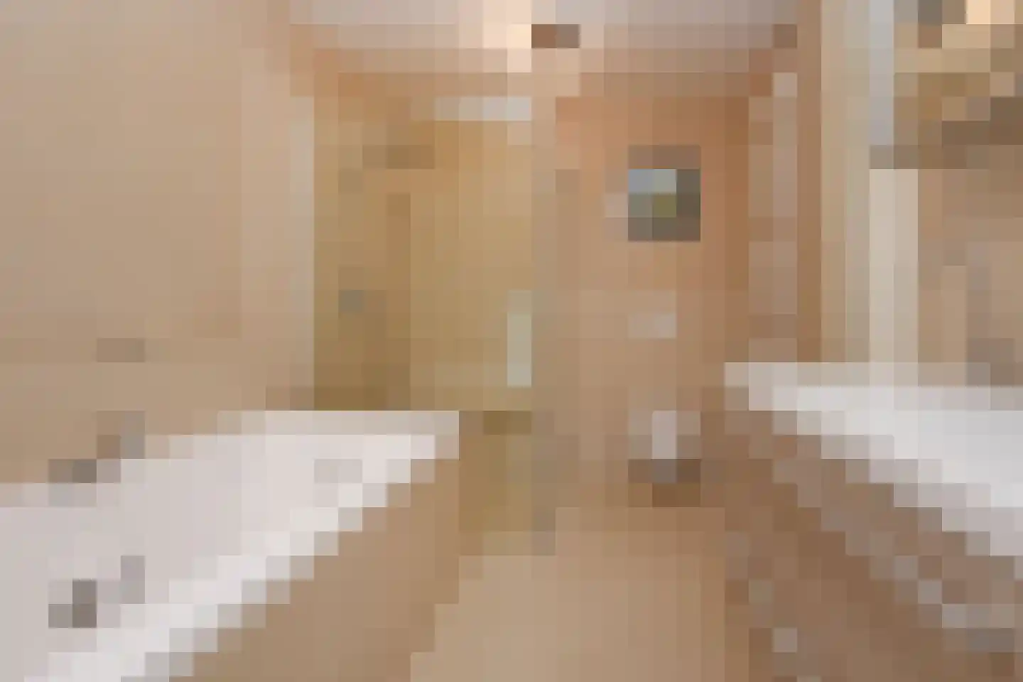 Rederserf 11 Den Haag thumbnail 4