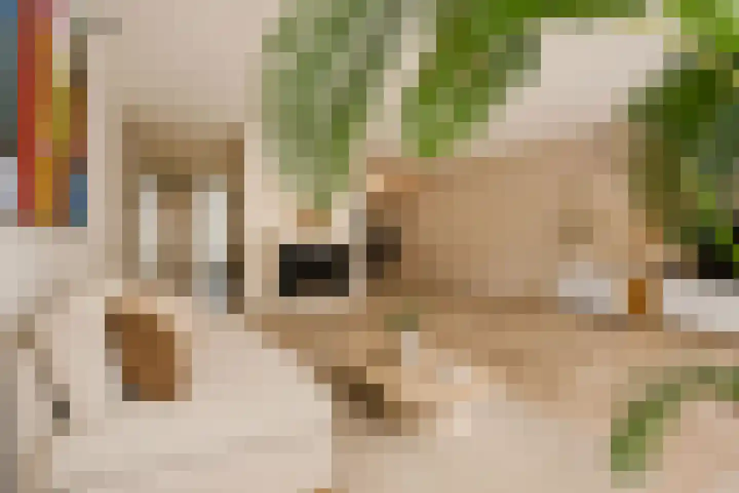 Rederserf 11 Den Haag thumbnail 6