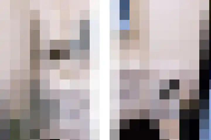 Rederserf 118 Den Haag thumbnail 17