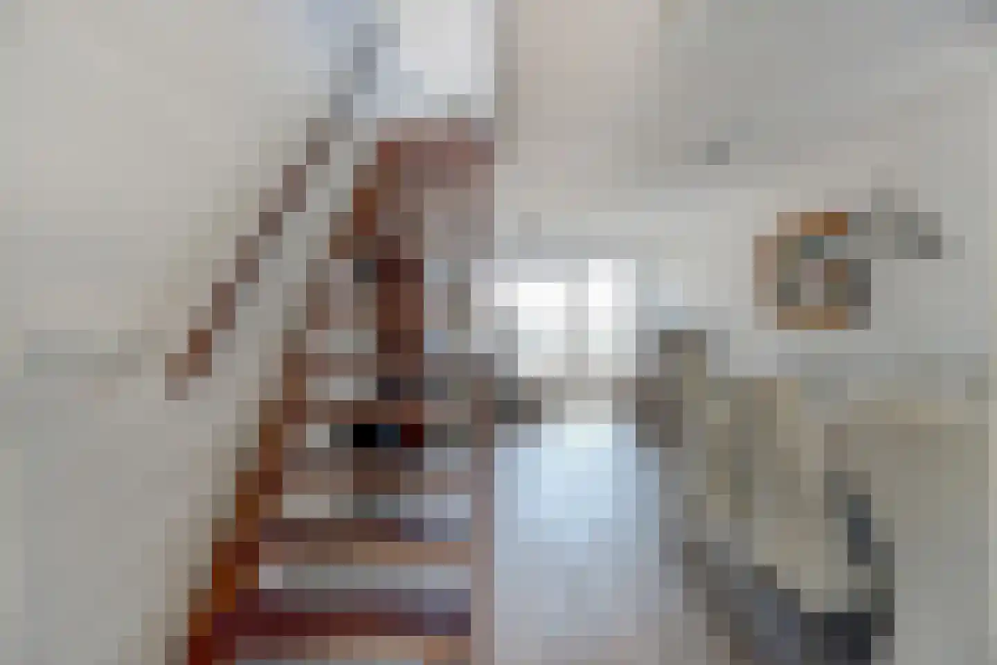 Rederserf 122 Den Haag thumbnail 13