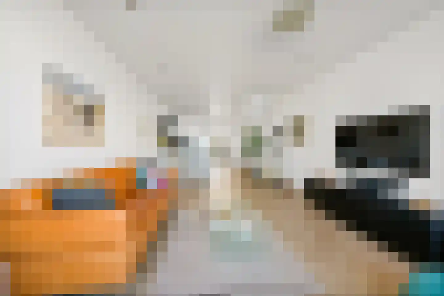 Rederserf 124 Den Haag thumbnail 15