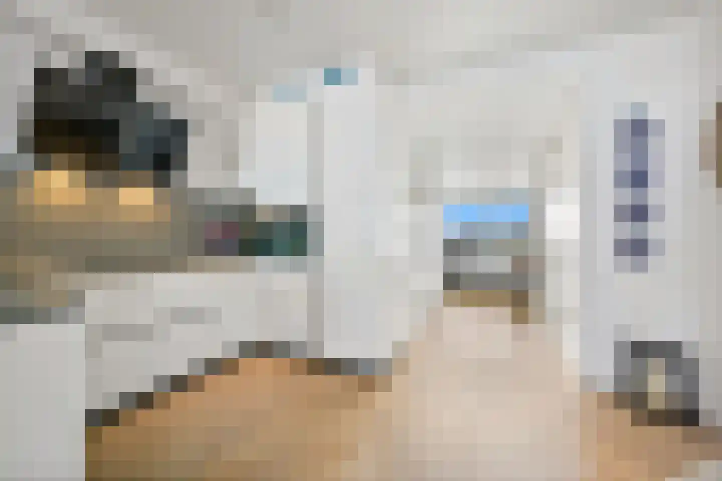 Rederserf 124 Den Haag thumbnail 22