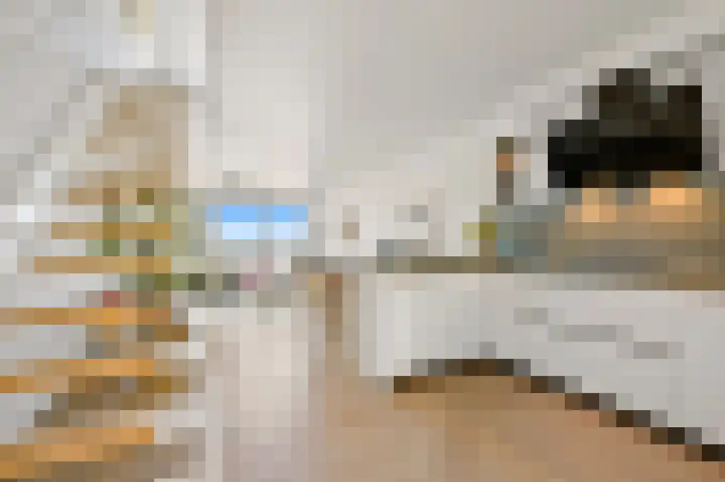 Rederserf 124 Den Haag thumbnail 23
