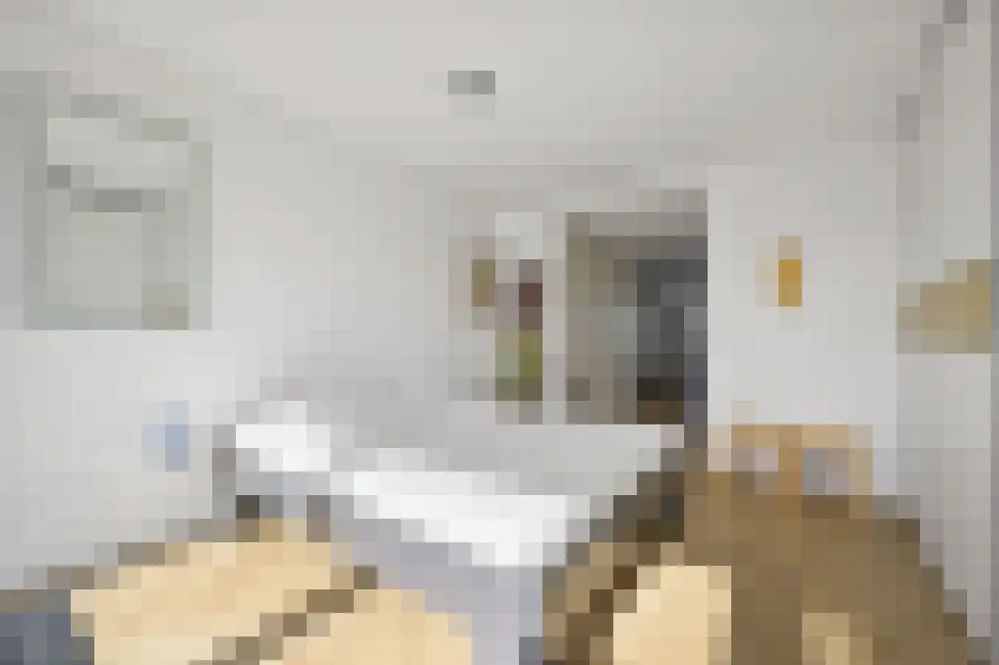 Rederserf 124 Den Haag thumbnail 32