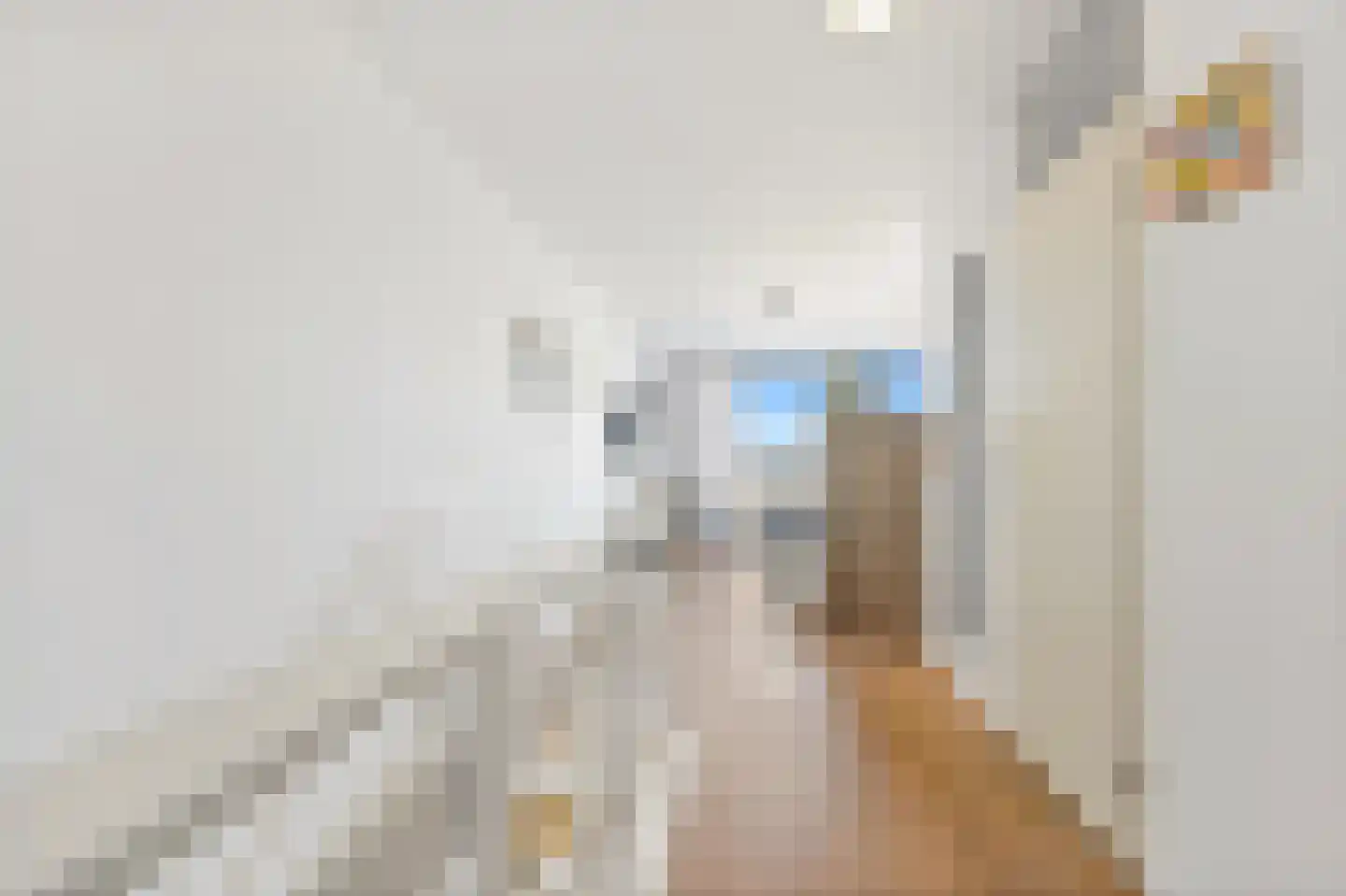 Rederserf 124 Den Haag thumbnail 40