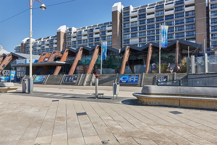 Rederserf 126 dans 's-Gravenhage photo