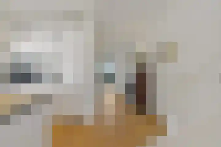 Rederserf 130 Den Haag thumbnail 17
