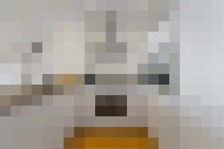 Rederserf 130 Den Haag thumbnail 18