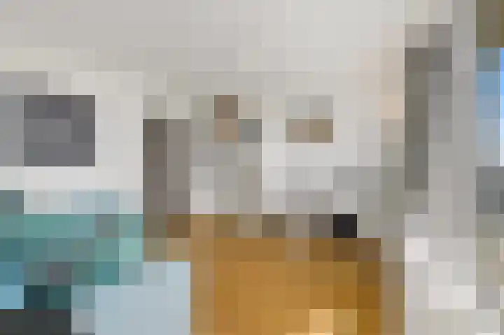 Rederserf 130 Den Haag thumbnail 22