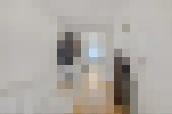Rederserf 130 Den Haag thumbnail 8