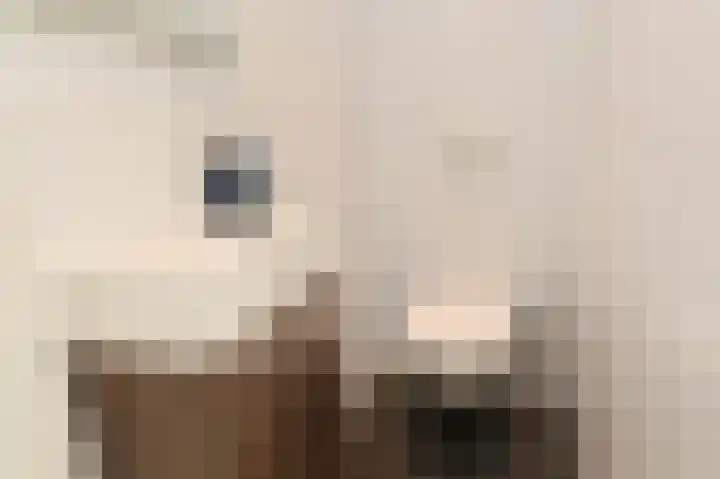 Rederserf 146 Den Haag thumbnail 20
