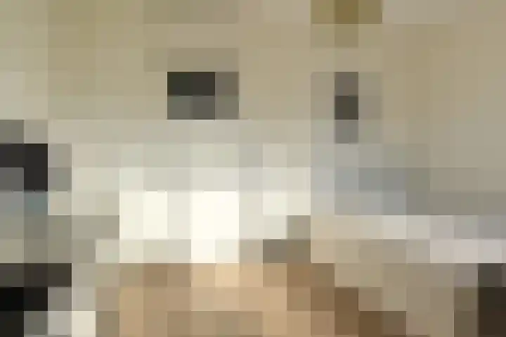 Rederserf 146 Den Haag thumbnail 27