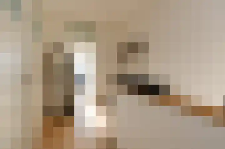 Rederserf 146 Den Haag thumbnail 32