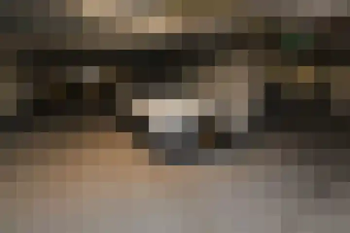 Rederserf 146 Den Haag thumbnail 39