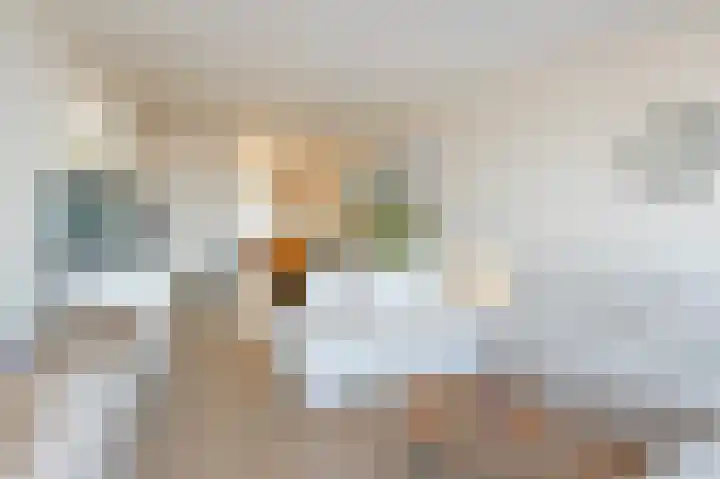 Rederserf 146 Den Haag thumbnail 6