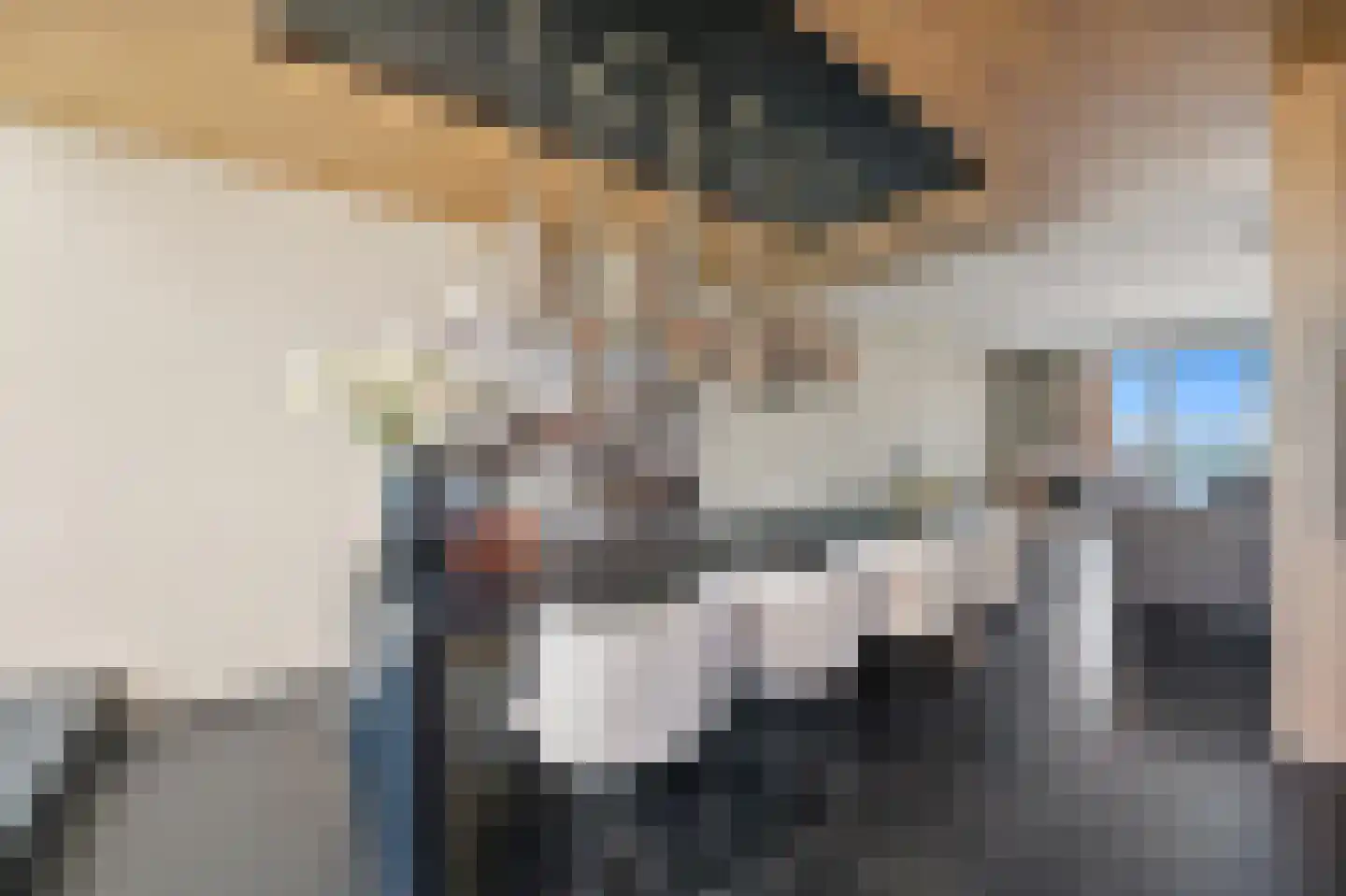 Rederserf 152 Den Haag thumbnail 14