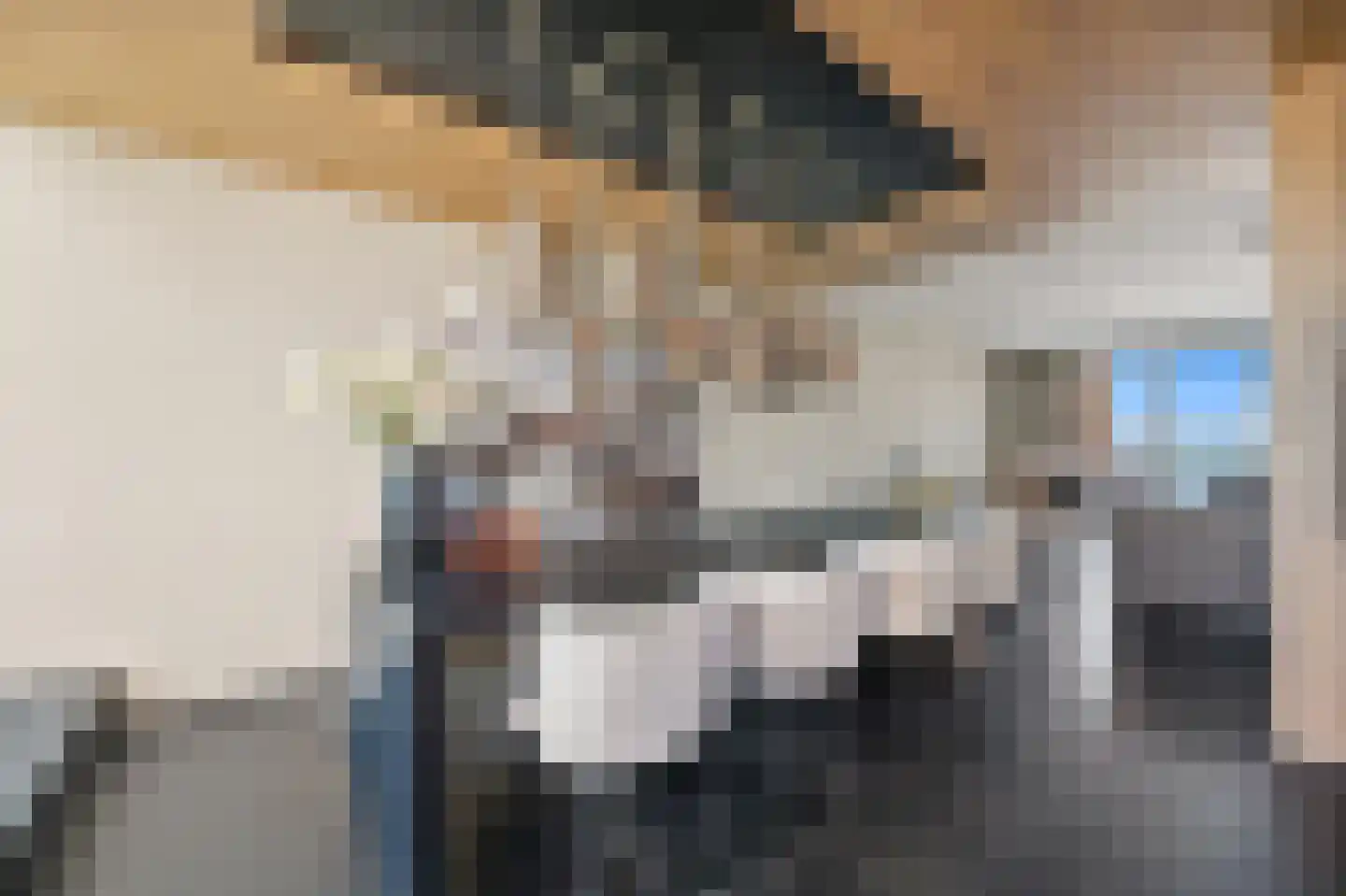 Rederserf 152 Den Haag thumbnail 16